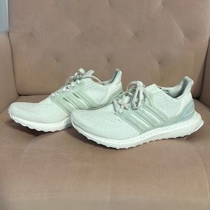 Adidas Ultra Boost Parley